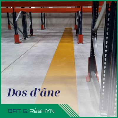 BAT_INSTA_2025-01-28_Dos-ane-001